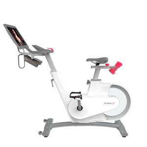Купить Велотренажер Yesoul BV1-W PLUS в Сасове 